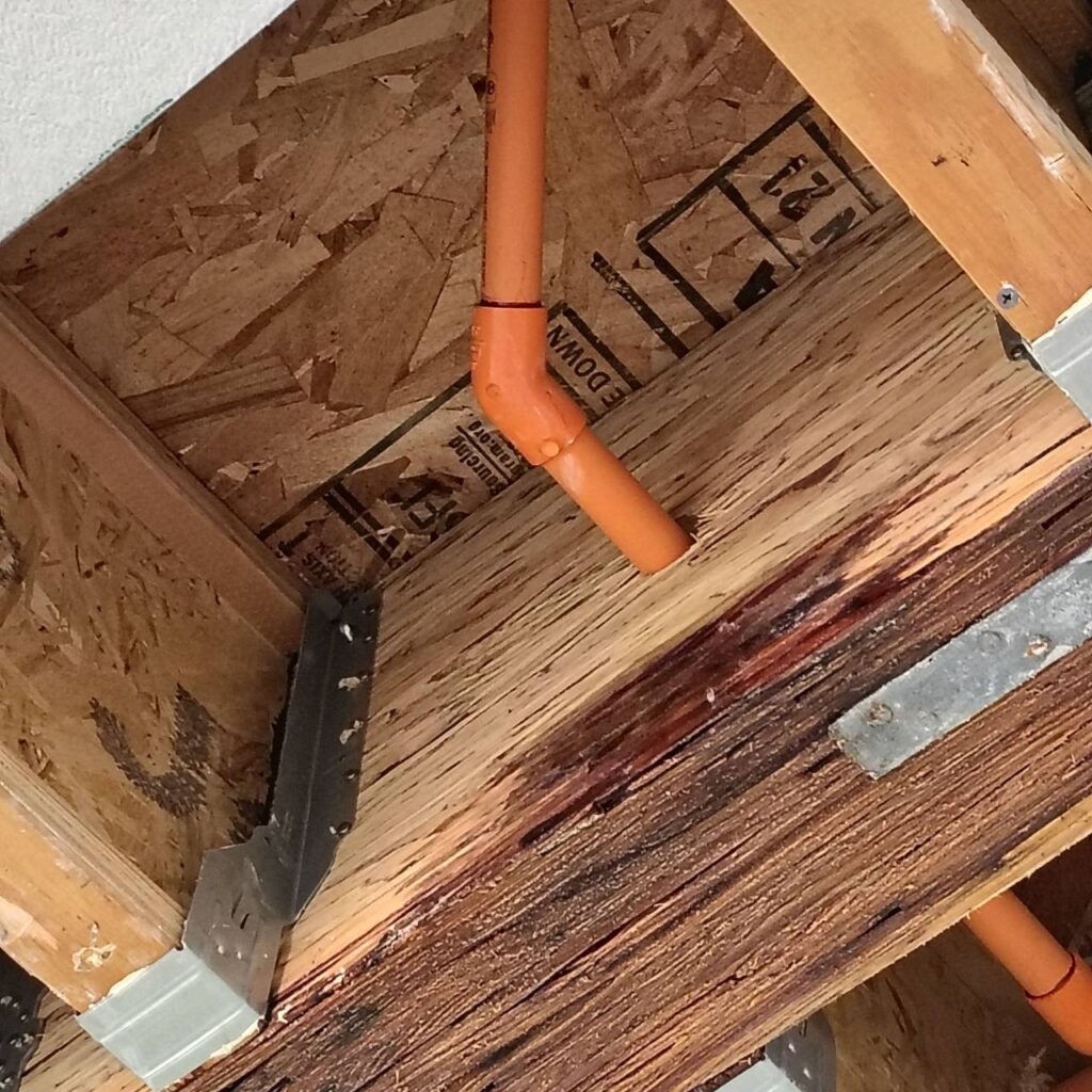 Ceiling section showing water staining documented before restoration work began